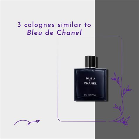 colognes similar to chanel blue